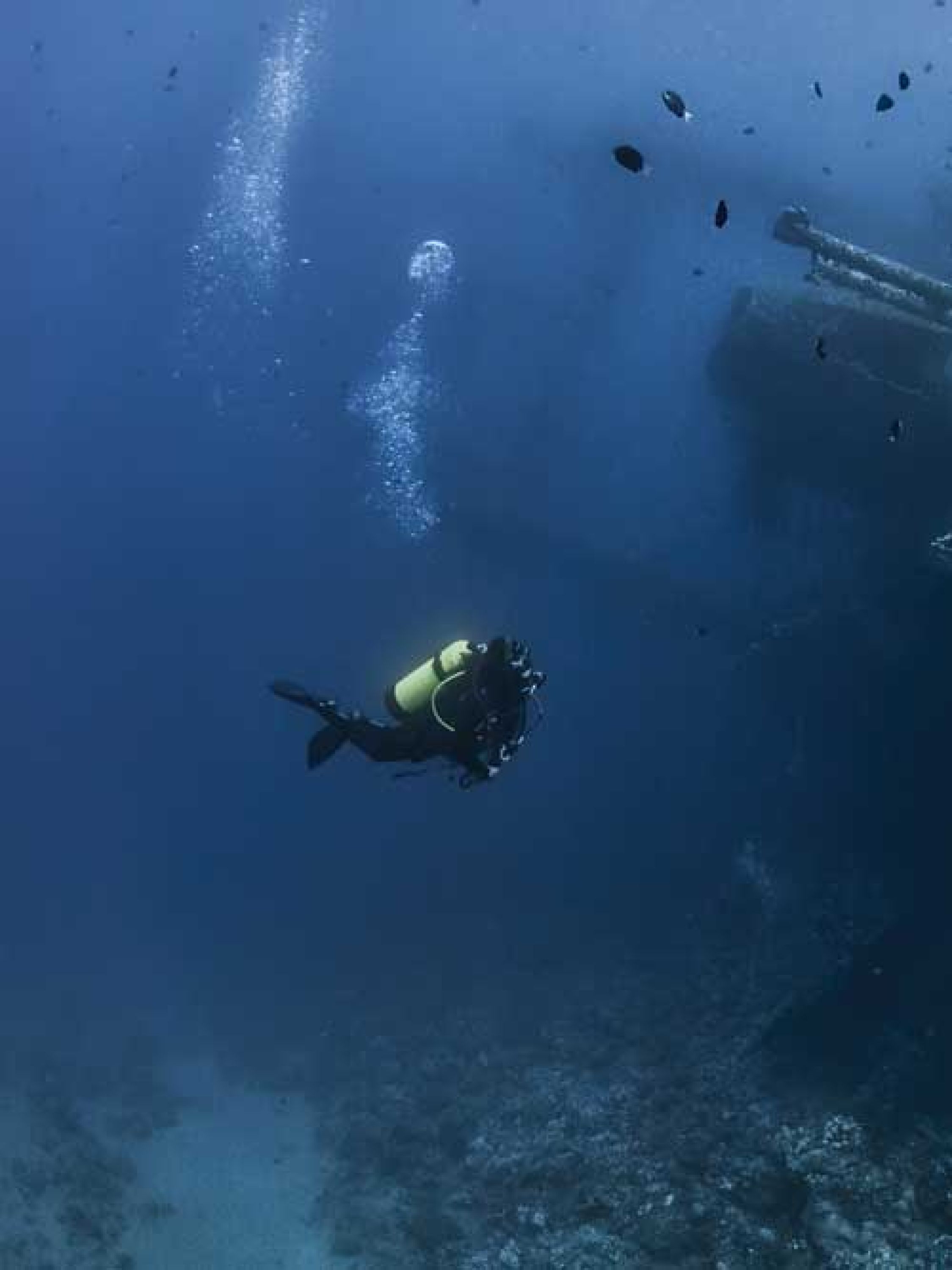 Diving in Aqaba 