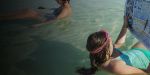 float Dead Sea